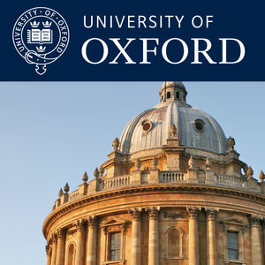 One in a series of talks from the Summer Institute in Computational Social Science (SICSS), which took place in Oxford, 2019.  Probabilistic linkage; Mixing census and big surveys; Multilevel Regression and Poststratification; ML and Bayesian approaches.

The full programme, downloadable slides & data, and more details about the institute can be found at https://compsocialscience.github.io/summer-institute/2019/oxford/

SICSS-Oxford received financial support from the University of Oxford’s Van Houten fund, the Social Sciences Division’s Teaching Development and Enhancement Project (TDEP) award, Nuffield College, Alfred P. Sloan Foundation and Russell Sage Foundation. Creative Commons Attribution-Non-Commercial-Share Alike 2.0 UK: England & Wales; http://creativecommons.org/licenses/by-nc-sa/2.0/uk/