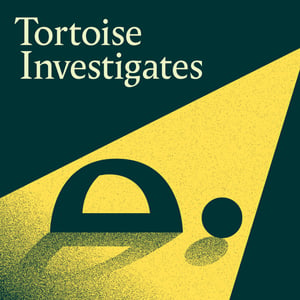 Who Trolled Amber? | Tortoise Investigates