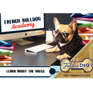 In this episode of French Bulldog Academy I will give you all some tips on how to keep your Frenchie safe from thieves. The website to register your pets microchip for free is freepetchipregistry.com

--- 

Support this podcast: <a href="https://podcasters.spotify.com/pod/show/frenchbulldogs/support" rel="payment">https://podcasters.spotify.com/pod/show/frenchbulldogs/support</a>