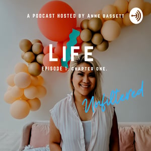 In this brief episode, I discuss the reason why I decided to dive in to the Podcast world.  From entrepreneurship, corporate America and being a parent, I want to share with you all my experiences, as well as future guests' experiences on what it's like having your hands in all three worlds.  Hope you enjoy and hope you stick around! 

--- 

Support this podcast: <a href="https://podcasters.spotify.com/pod/show/anne-bassett/support" rel="payment">https://podcasters.spotify.com/pod/show/anne-bassett/support</a>