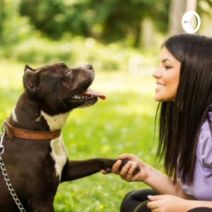 La Dr. Mariana Menendez nos comparte los elementos de la Didactica como sobre mejor educar a tu perro
