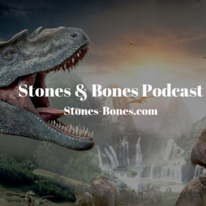 Stones and Bones