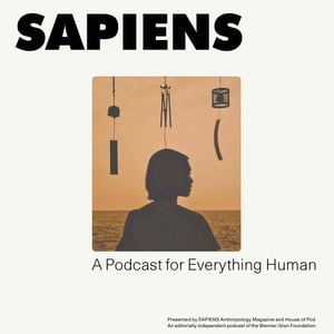 
        SAPIENS is happy to present this bonus episode from Lost Women of Science about another path-breaking thinker.

In the 1960s, a Black home economist at Howard University recruited kids for an experimental preschool program. All were Black and lived in poor neighborhoods around campus.

Flemmie Kittrell had grown up poor herself, just two generations removed from slavery, and she’d seen firsthand the effects of poverty. While Flemmie earned a PhD from Cornell, most of her siblings didn’t make it to college. One of her sisters died at just 22 years old of malnutrition. And it was the combination of these experiences that drove Flemmie to apply her academic training to help improve the lives of people in her community.

In the early 1960s, Flemmie decided to see what would happen if you gave poor kids a boost early in life, in the form of a really great preschool. Every day for two years, parents would get free childcare, and their kids would get comprehensive care for body and mind—with plenty of nutritious food, fun activities, and hugs. What kind of difference would that make? And would it matter later on?
      