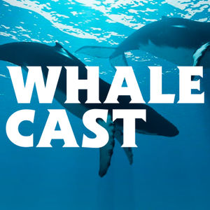 A Podcast For Whales By Whales