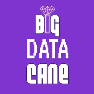 Round Earth Conspiracy by BIG DATA CANE