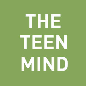 <description>&lt;p&gt;We find out that David has anxiety.  Okay...but what exactly does that mean?  A little brain science, a little physiology, and a tiny little TSA agent.  &lt;/p&gt;
&lt;p&gt; &lt;/p&gt;
&lt;p&gt;Find more at theteenmind.com&lt;/p&gt;
&lt;p&gt;Music: paragraphs.bandcamp.com&lt;/p&gt;
&lt;p&gt;email me: corey@elementscounselingmn.com&lt;/p&gt;
&lt;p&gt; &lt;/p&gt;
&lt;p&gt;Tags: parenting, parenting teens, parenting skills, teen depression, teen anxiety, teen, teens, teenager, counseling, therapy, mental health, anxiety, depression, anxiety in teens, anxiety in children&lt;/p&gt;</description>