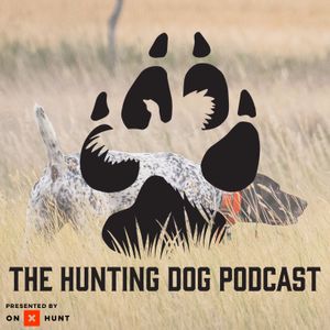 <description>&lt;p&gt;Patrick Berry joins me to talk BHA history, policy, and the future. And of course we go off script to talk about our favorite dogs.&lt;/p&gt; &lt;p&gt;This Month's Bonus Patreon Episode here: &lt;/p&gt; &lt;p&gt;&lt;a href= "https://www.patreon.com/posts/history-of-my-4-102146011?utm_medium=clipboard_copy&amp;utm_source=copyLink&amp;utm_campaign=postshare_creator&amp;utm_content=join_link"&gt; Dog Talk Pocast - Dessy &amp; Zeigen&lt;/a&gt;&lt;/p&gt; &lt;p&gt;Don't forget to subscribe to the Youtube channel &lt;a href= "https://www.youtube.com/@thehuntingdogpodcast"&gt;https://www.youtube.com/@thehuntingdogpodcast&lt;/a&gt;&lt;/p&gt; &lt;p&gt;Join the Upland Institute for Online Pointing Dog Training direct to you: &lt;a href= "https://www.uplandinstitute.com/"&gt;https://www.uplandinstitute.com/&lt;/a&gt;&lt;/p&gt; &lt;p&gt;Full length film series:&lt;/p&gt; &lt;p&gt;Behind the Dog Films &lt;a href= "https://www.behindthedogfilms.com/"&gt;https://www.behindthedogfilms.com&lt;/a&gt;&lt;/p&gt; &lt;p&gt;Support the podcast and channel: &lt;a href= "https://www.patreon.com/huntingdogpodcast"&gt;https://www.patreon.com/huntingdogpodcast&lt;/a&gt;&lt;/p&gt; &lt;p&gt;Connect with me on Social: &lt;/p&gt; &lt;p&gt;Web: &lt;a href= "https://thehuntingdogpodcast.com/"&gt;https://thehuntingdogpodcast.com/&lt;/a&gt;&lt;/p&gt; &lt;p&gt;IG: &lt;a href= "https://www.instagram.com/thehuntingdogpodcast"&gt;https://www.instagram.com/thehuntingdogpodcast&lt;/a&gt;&lt;/p&gt; &lt;p&gt; FB: &lt;a href= "https://www.facebook.com/thehuntingdogpodcast"&gt;https://www.facebook.com/thehuntingdogpodcast&lt;/a&gt;&lt;/p&gt; &lt;p&gt;Swag: &lt;a href= "https://the-hunting-dog-podcast.square.site/"&gt;https://the-hunting-dog-podcast.square.site/&lt;/a&gt;&lt;/p&gt;</description>