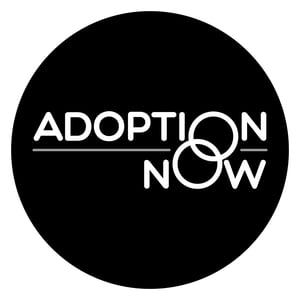 <description>&lt;p class="MsoNormal"&gt;&lt;span style= "font-size: 12.0pt; line-height: 107%; font-family: 'Times New Roman',serif; color: #1d2228; background: white;"&gt; Author Sarah D. Shearer joins ADOPTION NOW to talk about her adoption story.&lt;span class= "yiv2868527924apple-converted-space"&gt;  &lt;/span&gt;In her words, her story started off with little hope, “I was born with various medical needs and was left in a Russian hospital where nuns helped to keep me alive until I was transferred to an orphanage.” The Russian orphanage was convinced that no one would want her, but a family in Thomasville, GA saw her picture and fell in love. This is an uplifting story filled with gratitude and grace towards adoption. Sarah has written a memoir called “Extra Ordinary” to share her positive perspective. She says, “no one can speak to adoption more than an adoptee.” Listen to this episode and check out her book on &lt;a href= "https://www.amazon.com/Extra-Ordinary-Sarah-D-Shearer/dp/B0BW31GJ2Q/ref=sr_1_1?crid=3G2VKJB4NSCQ5&amp;amp;keywords=extra+ordinary+sarah+shearer&amp;amp;qid=1692997838&amp;amp;sprefix=%252Caps%252C200&amp;amp;sr=8-1&amp;_encoding=UTF8&amp;tag=adoptionnow88-20&amp;linkCode=ur2&amp;linkId=fedb647ad9d863f3b3d94266a3da14f7&amp;camp=1789&amp;creative=9325"%3EExtra%20Ordinary%3C/a%3E!" target="_blank" rel="noopener"&gt;Amazon&lt;/a&gt;!&lt;/span&gt;&lt;/p&gt; &lt;p class="MsoNormal"&gt; &lt;/p&gt; &lt;p class="MsoNormal"&gt;&lt;span style= "font-size: 12.0pt; line-height: 107%; font-family: 'Times New Roman',serif; color: #1d2228; background: white;"&gt; QLyczKYulKtuC15aefxa&lt;/span&gt;&lt;/p&gt;</description>