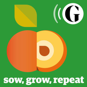 Alys Fowler digs into our virtual postbag of gardening questions from listeners and readers
