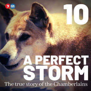 A Perfect Storm: The True Story of The Chamberlains
