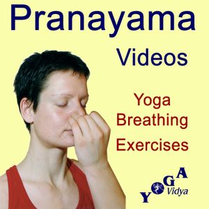 Murccha Pranayama is a breathing exercise for calming the mind. It is especially helpful to calm anger and nervousness. Also powerful to control hay fever and other allergies. It reduces access of Pitta Dosha according to Ayurveda. It opens the … Weiterlesen →