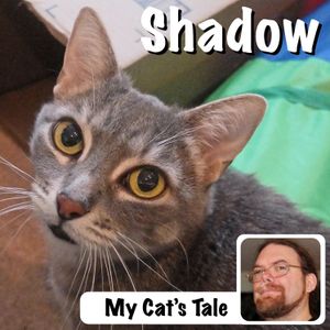 My Cat’s Tale: Shadow and Taffy
