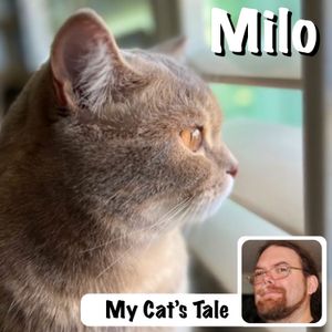 My Cat’s Tale – Milo The Babysitting Cat