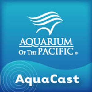 Aquarium of the Pacific AquaCast
