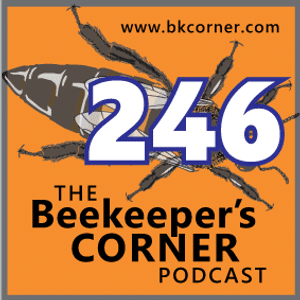 BKCorner Episode 246 - VC