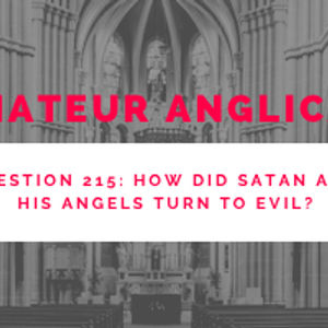 E208 Q215 How did Satan and his angels turn to evil?