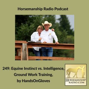 249: Equine Instinct vs. Intelligence, Ground Work Training, by HandsOnGloves