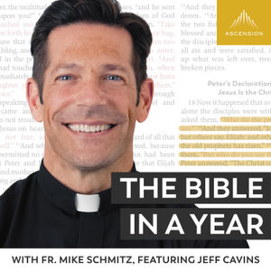 
        <p>Fr. Mike talks about how God can bring great triumph from great brokenness as he reads the messy story of Judah and Tamar. The readings for today are  Genesis 38, Job 29-30, and Proverbs 3:28-32.</p>

<p>For the complete reading plan, text CATHOLICBIBLE to 33-777 or visit ascensionpress.com/bibleinayear. </p>

<p>The Bible contains adult themes that may not be suitable for children - parental discretion is advised.</p><p><a href="https://ascensionpress.com/products/support-ascension" rel="payment">Support The Bible in a Year (with Fr. Mike Schmitz)</a></p>
      