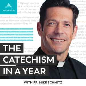 
        <p>Together, with Fr. Mike, we examine the wounds to the unity of Christ’s one, holy, Catholic, and apostolic Church. The Catechism emphasizes that people on both sides of this division are to blame for this broken unity. God did not intend for the disunity of Chrstians that we see today, but rather, intended for the unity of all Christians. Fr. Mike, therefore, concludes with asking us to pray and hope for the miracle of the unity, once again, of all Christians. Today’s readings from the Catechism are paragraphs 817-822.</p>

<p><em>This episode has been found to be in conformity with the Catechism by the Institute on the Catechism, under the Subcommittee on the Catechism, USCCB.</em></p>

<p>For the complete reading plan, visit ascensionpress.com/ciy</p>

<p>Please note: The Catechism of the Catholic Church contains adult themes that may not be suitable for children - parental discretion is advised.</p>
      