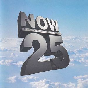 NOW 25 - Summer '93: Niall McMurray