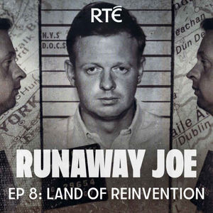 Runaway Joe: 08 - Land of Reinvention
