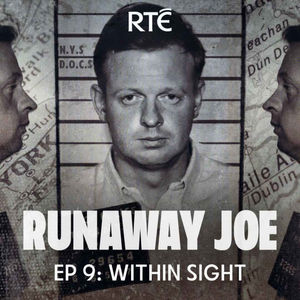 Runaway Joe: 09 - Within Sight