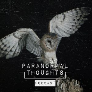 Owls & Synchronicity Podcast