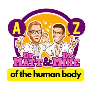 Anabolism | A-Z of the Human Body