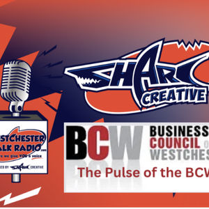 Episode 163: The Pulse of the BCW- with Heidi Winslow BCW Rising Stars Chair