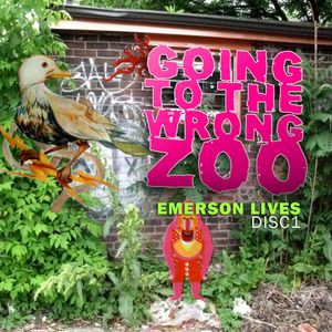 DJ Emerson Tokeo Rose - Going To The Wrong Zoo Part 1