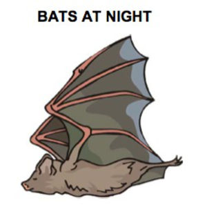 Fluency Practice: Bats at Night