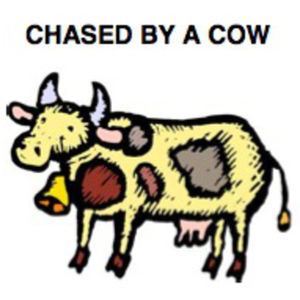 Fluency Practice: Chased by a Cow