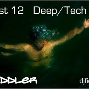 DJ Fiddler Podcast 12
