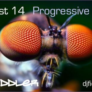 DJ Fiddler Podcast 14