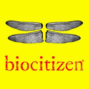 Biocitizen Banter #1: Interview with Ricardo Rozzi, Co-Founder of the Cape Horn Biosphere Reserve