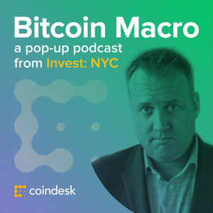 Josh Brown on Protest Assets, Bitcoin Pessimism and Possibility