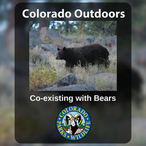 S2E1: 2.1 - Co-existing with Bears - Aug. 30, 2023