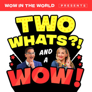 Two Whats?! And A Wow! - The Scientific Method (11/17/23)