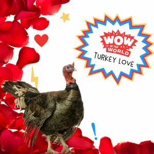 Turkey Love (11/27/23)