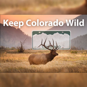 S1E31: 1.31 - Keep Colorado Wild Pass - July 11, 2022