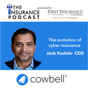 The Evolution of Cyber Insurance