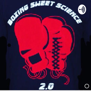 I explore various categories where fighters will earn rewards for their achievements for the year 2020 in the Boxing Sweet Science 2.0 Year end review . 
