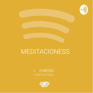 MeditacioNESS