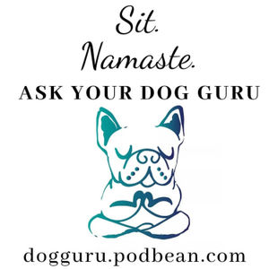 Ask Your Dog Guru