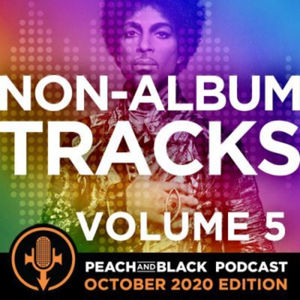 Prince's Non-Album Tracks Vol.5