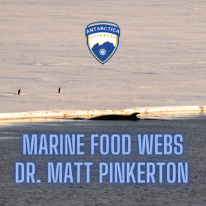 Marine Food Webs 101