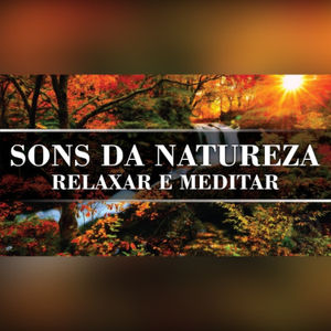 Música com Sons da Natureza para Meditar e Relaxar | Sons de Pássaros na Floresta com Água corrente