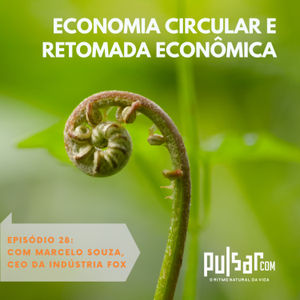 Economia circular e retomada econômica