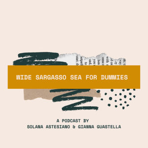 'Wide Sargasso Sea for dummies' a Podcast by Solana Astesiano and Gianna Guastella.