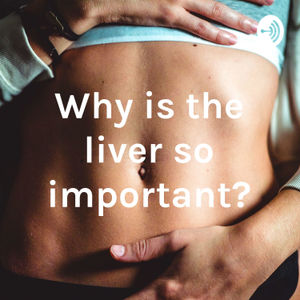 Why is the liver so important?
